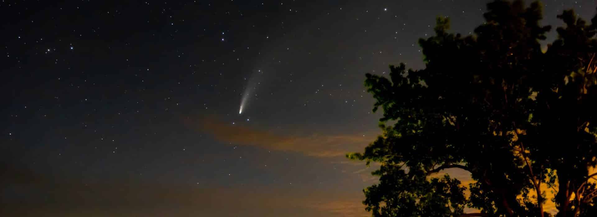 Sky at dusk with visible stars and comet in the background and a green tree on the right